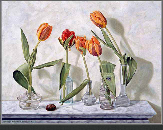 Five tulips in a row