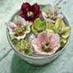 Bowl of Christmas roses